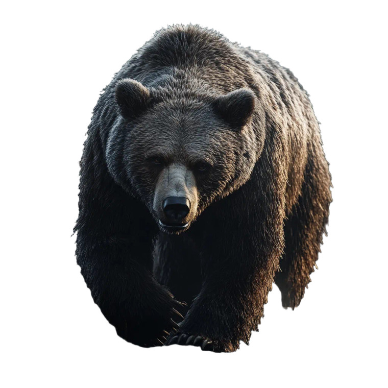 Shimmering Brown Bear Vinyl Car Decal Sticker – Waterproof & UV-Resistant 8"