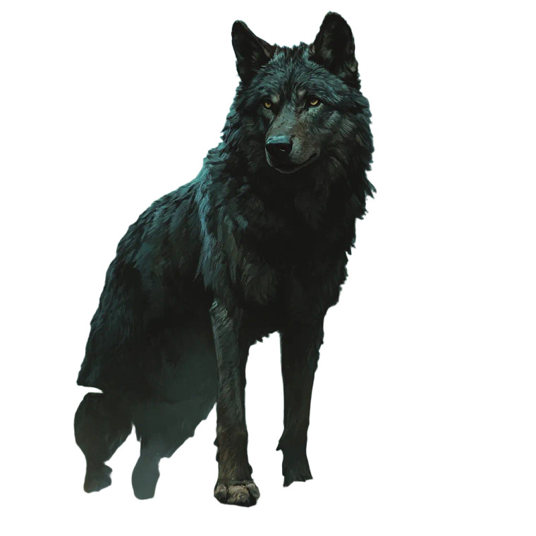 Grey Wolf Vinyl Car Decal Sticker – Waterproof & UV-Resistant 8"