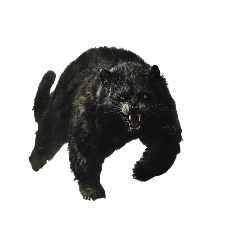 Bearcat Fearsome Critter Vinyl Car Decal Sticker – Waterproof & UV-Resistant 8"