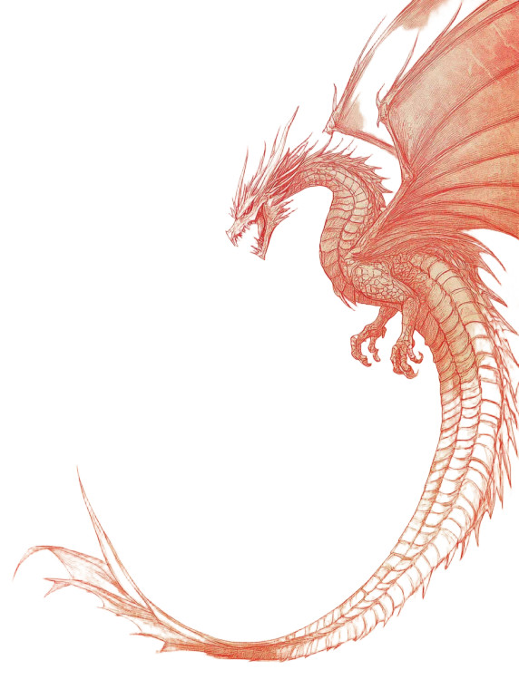 Dragon Fantasy Frame Vinyl Car Decal Sticker – Waterproof & UV-Resistant 8" Dragon Fantasy Frame Vinyl Car Decal Sticker – Waterproof & UV-Resistant 8"