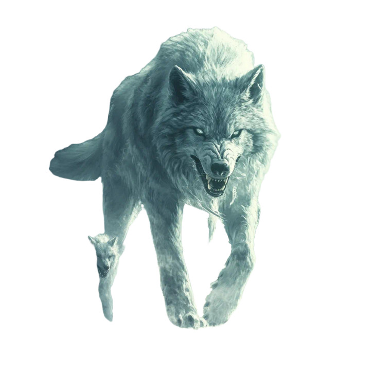 Dire Wolf Pack Vinyl Car Decal Sticker – Waterproof & UV-Resistant 8"