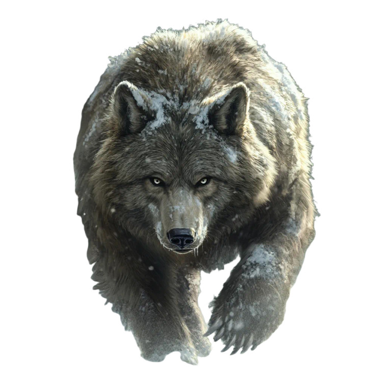 Wolf-Bear Hybrid V2 Vinyl Car Decal Sticker – Waterproof & UV-Resistant 8"