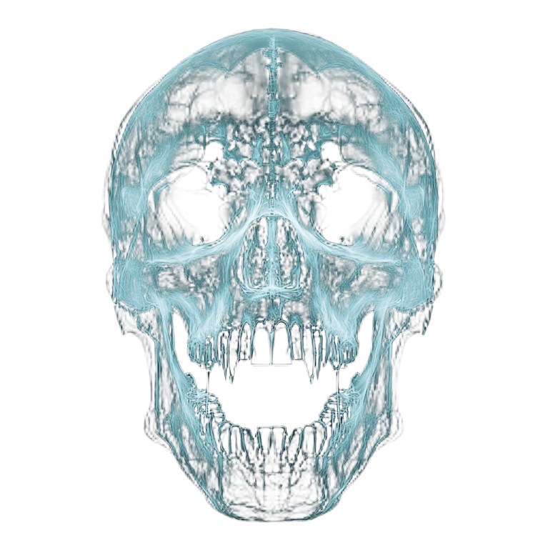 X-Ray Skull Art Vinyl Car Decal Sticker – Waterproof & UV-Resistant 8"