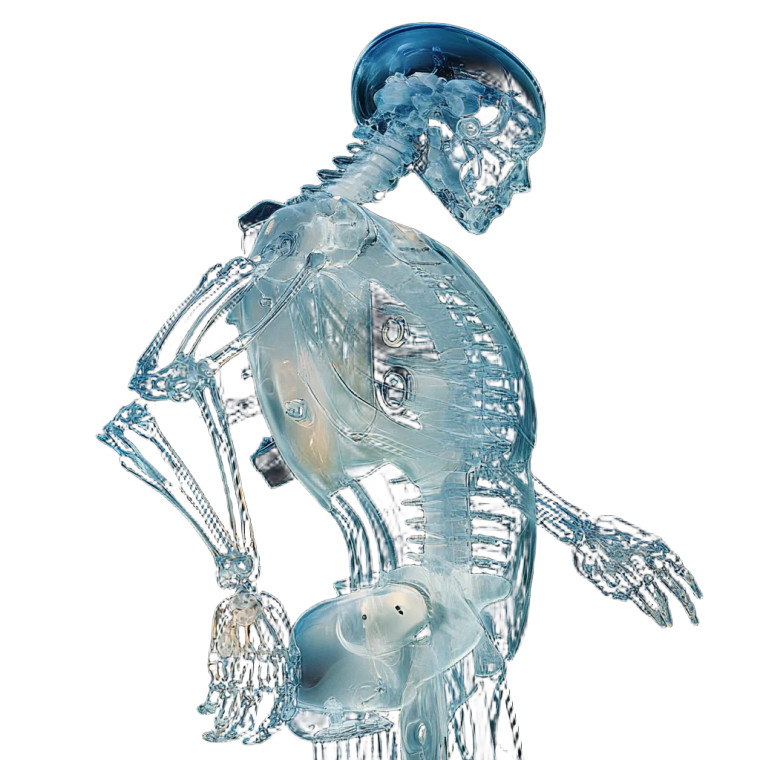 Dynamic Biomechanical Human Vinyl Car Decal Sticker – Waterproof & UV-Resistant 8"