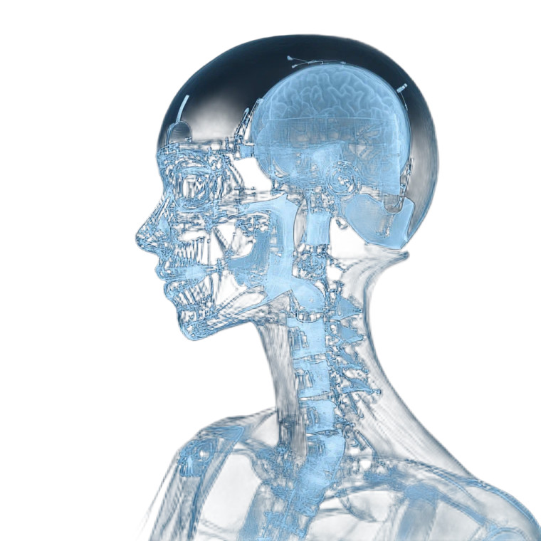 Cyborg Girl X-Ray Vinyl Car Decal Sticker – Waterproof & UV-Resistant 8"