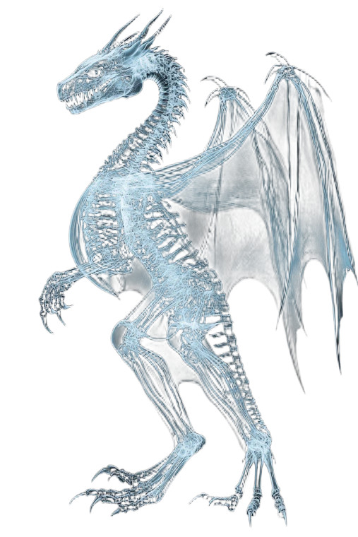 Winged Dragon Xray Vinyl Car Decal Sticker – Waterproof & UV-Resistant 8"