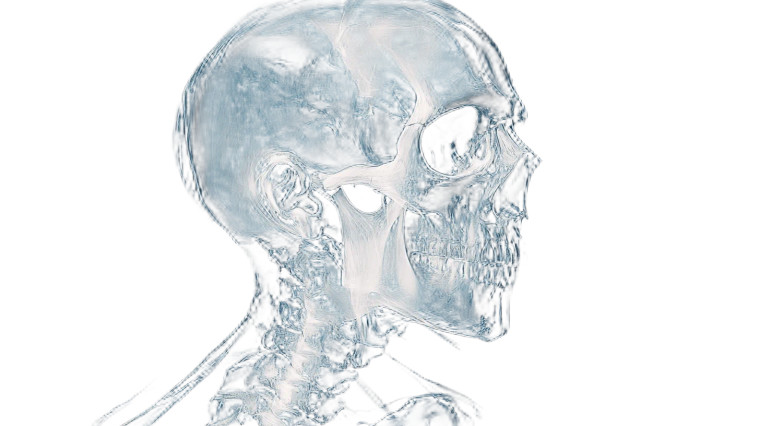 X-Ray Caravaggio Portrait Vinyl Car Decal Sticker – Waterproof & UV-Resistant 8"