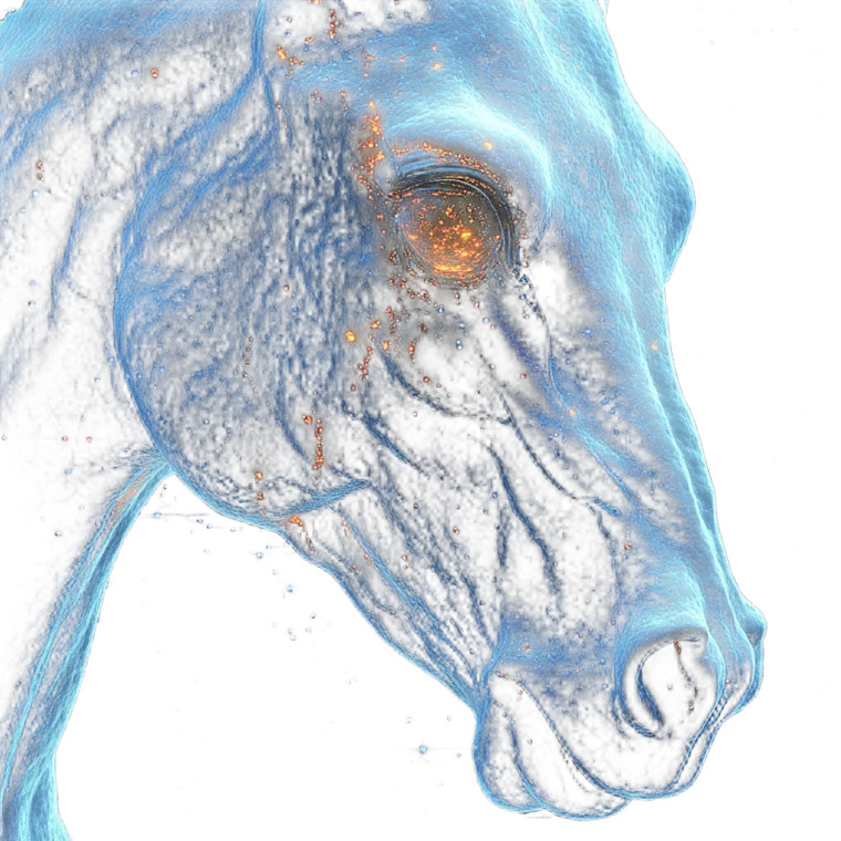 Art Horse Vinyl Car Decal Sticker – Waterproof & UV-Resistant 8"