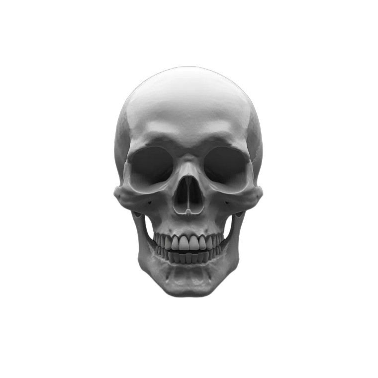 Human Skull Front Vinyl Car Decal Sticker – Waterproof & UV-Resistant 8"