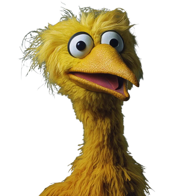 Big Bird V2 Vinyl Car Decal Sticker – Waterproof & UV-Resistant 8"