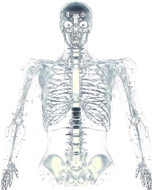 Cyborg Skeleton X-Ray Vinyl Car Decal Sticker – Waterproof & UV-Resistant 8"