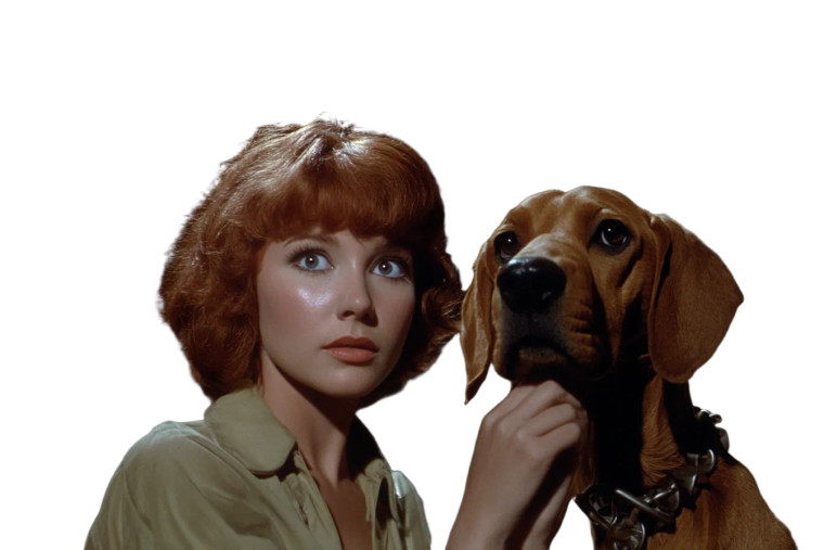 Vera In Excalibur Vinyl Car Decal Sticker – Waterproof & UV-Resistant 8"