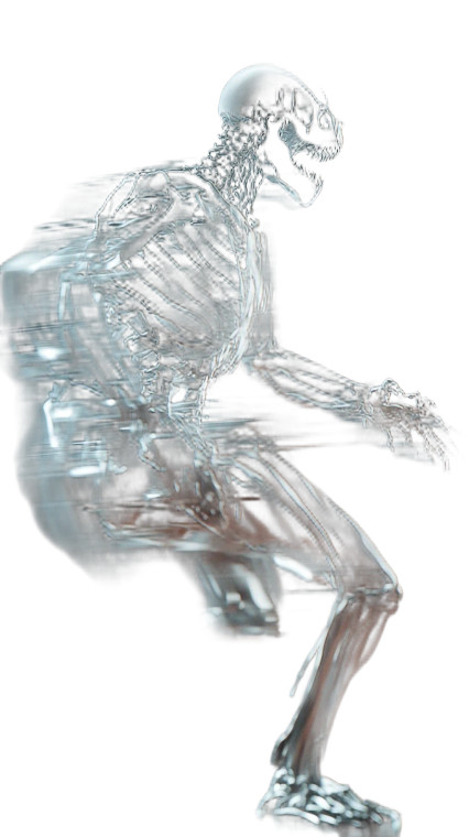 Dinosaur-Human X-Ray Vinyl Car Decal Sticker – Waterproof & UV-Resistant 8"