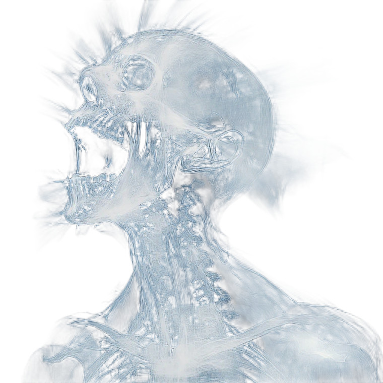 Human X-Ray V3 Vinyl Car Decal Sticker – Waterproof & UV-Resistant 8"