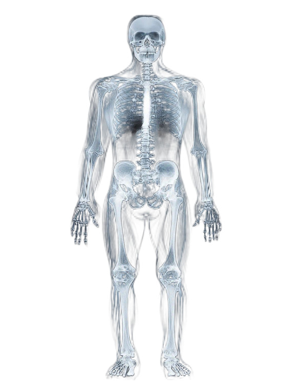 Future Human X-Ray V2 Vinyl Car Decal Sticker – Waterproof & UV-Resistant 8"