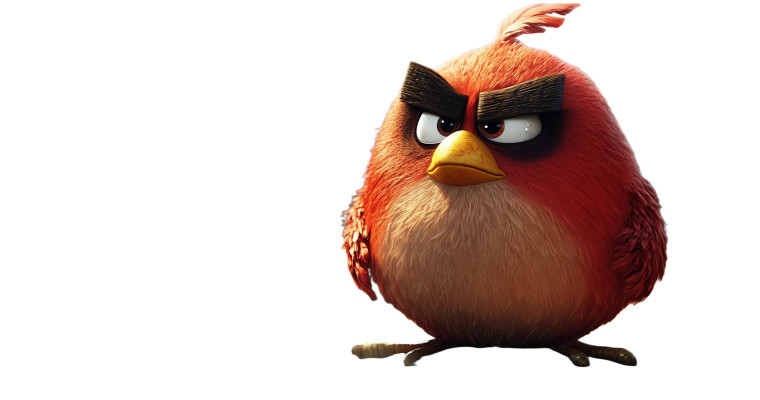 Angry Birds Game Vinyl Car Decal Sticker – Waterproof & UV-Resistant 8"