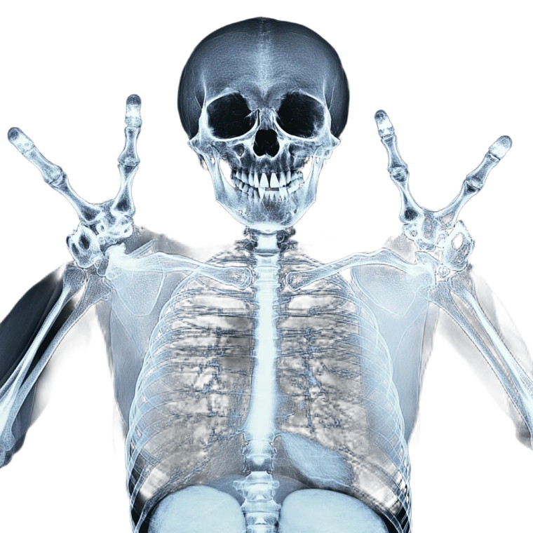 Radiology Department Logo Vinyl Car Decal Sticker – Waterproof & UV-Resistant 8"