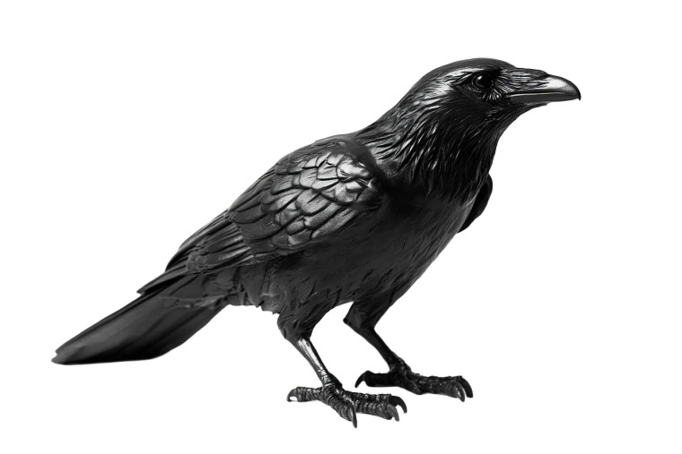 Black Raven Sculpture Vinyl Car Decal Sticker – Waterproof & UV-Resistant 8"