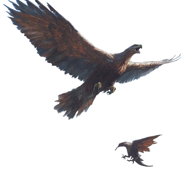 Giant Eagle Chase Vinyl Car Decal Sticker – Waterproof & UV-Resistant 8"