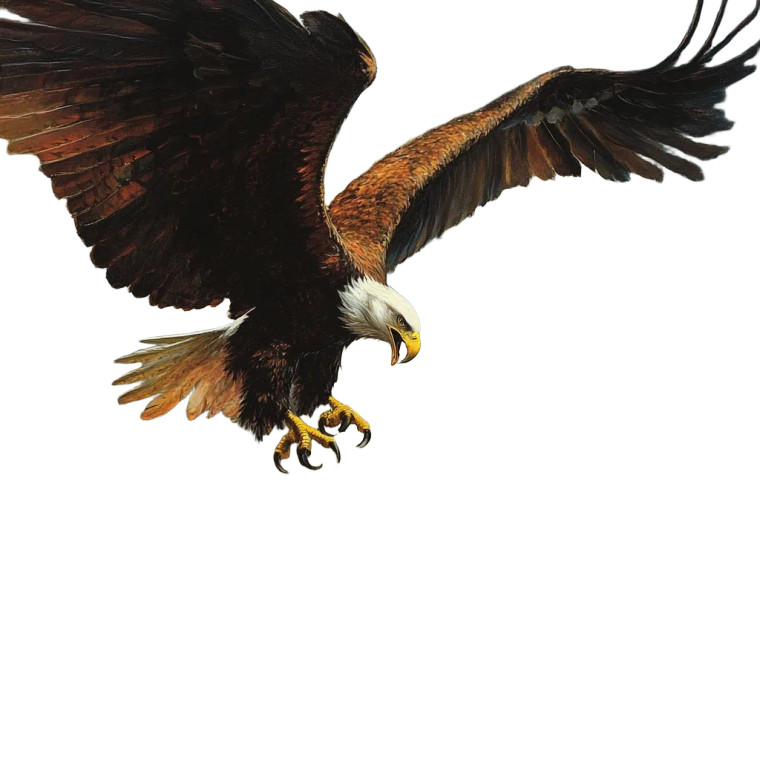 Eagle Vs Dragon Vinyl Car Decal Sticker – Waterproof & UV-Resistant 8"
