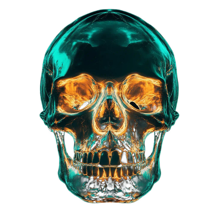 Neon Skull Anatomy Vinyl Car Decal Sticker – Waterproof & UV-Resistant 8" Neon Skull Anatomy Vinyl Car Decal Sticker – Waterproof & UV-Resistant 8"