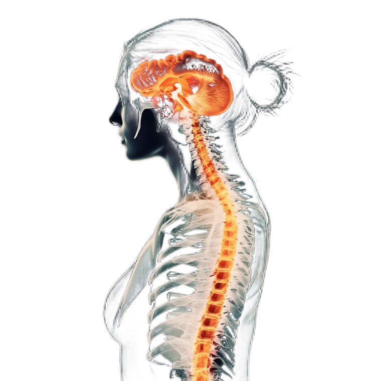 Pixelated X-Ray Spine Vinyl Car Decal Sticker – Waterproof & UV-Resistant 8"