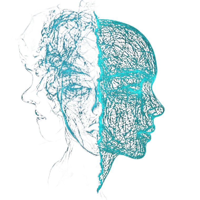 Split Human Head Vinyl Car Decal Sticker – Waterproof & UV-Resistant 8"