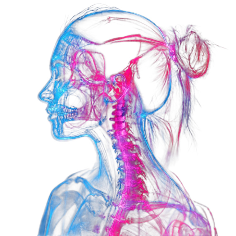 Neon Xray Woman Vinyl Car Decal Sticker – Waterproof & UV-Resistant 8"