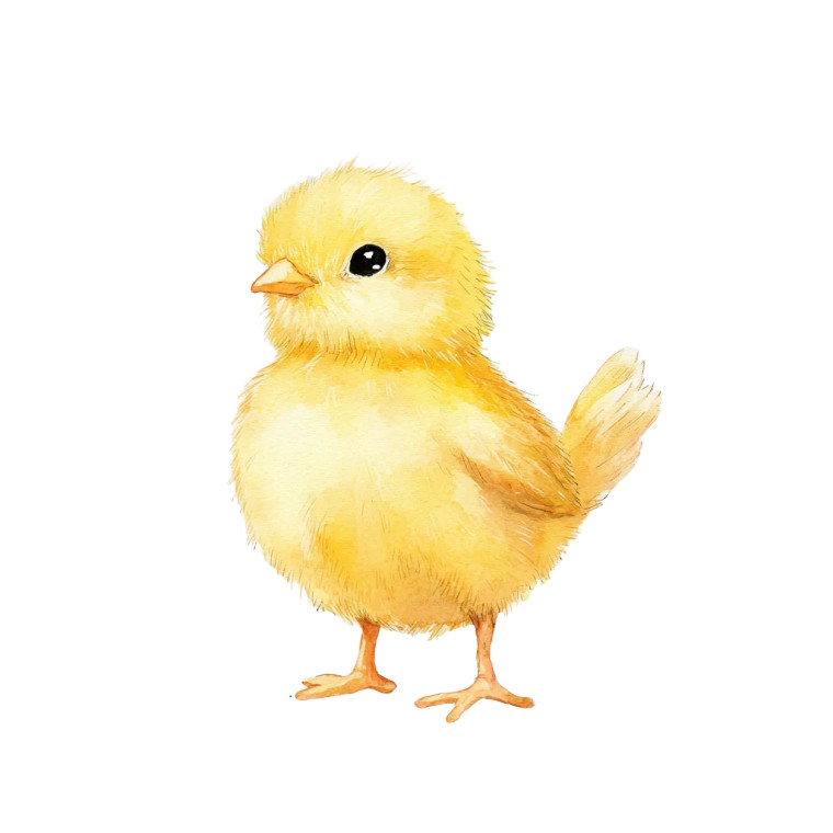 Easter Chick Illustration V2 Vinyl Car Decal Sticker – Waterproof & UV-Resistant 8"