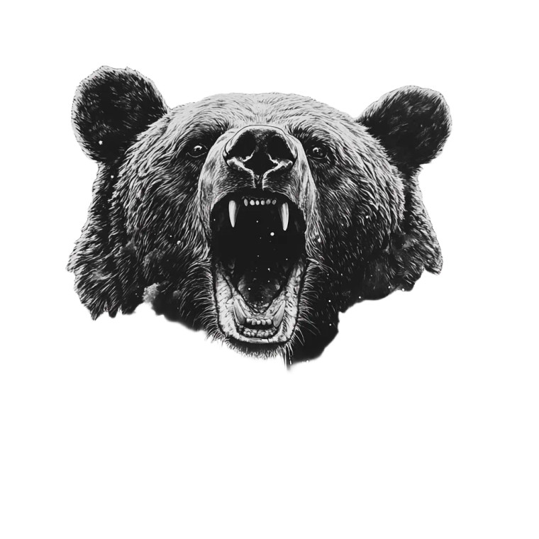 Aggressive Bear Portrait V3 Vinyl Car Decal Sticker – Waterproof & UV-Resistant 8"