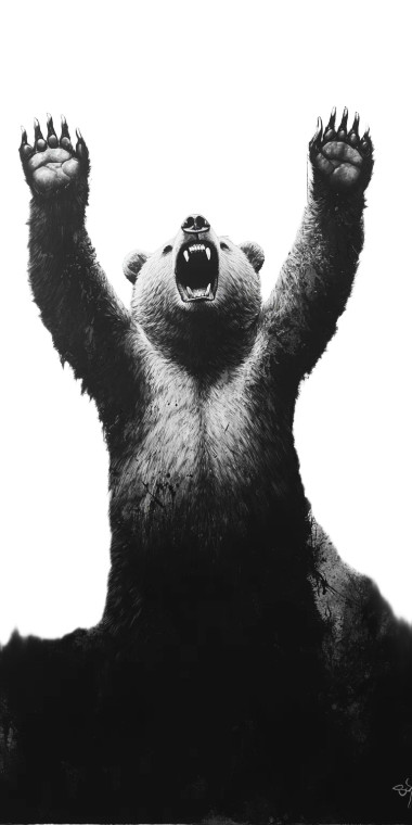 Growling Bear Cub Vinyl Car Decal Sticker – Waterproof & UV-Resistant 8"