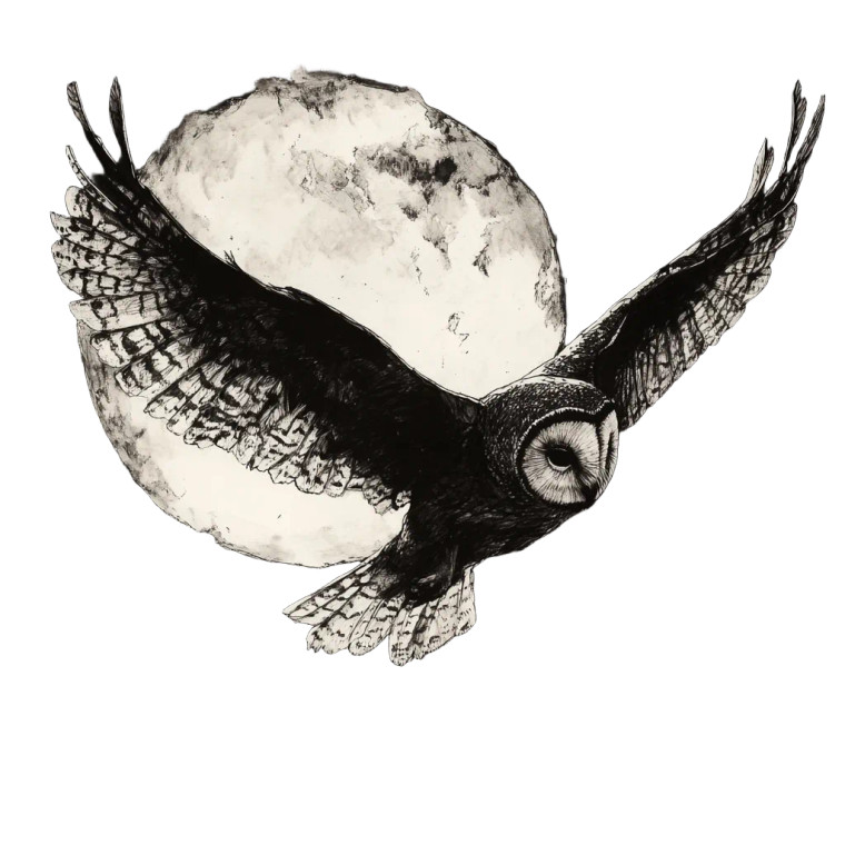 Swooping Owl Night Vinyl Car Decal Sticker – Waterproof & UV-Resistant 8"