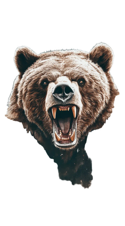 Angry Grizzly Design Vinyl Car Decal Sticker – Waterproof & UV-Resistant 8"
