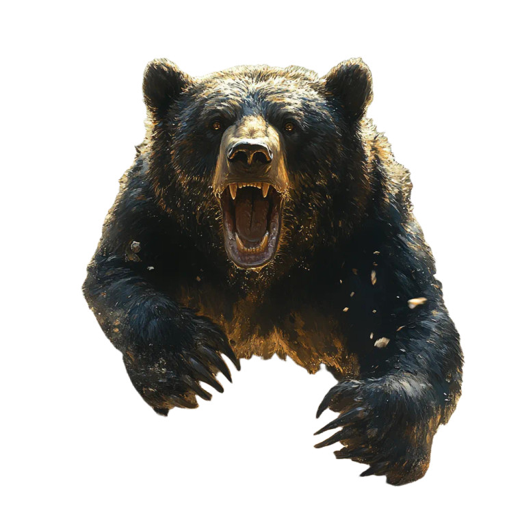 Aggressive Black Bear V2 Vinyl Car Decal Sticker – Waterproof & UV-Resistant 8"