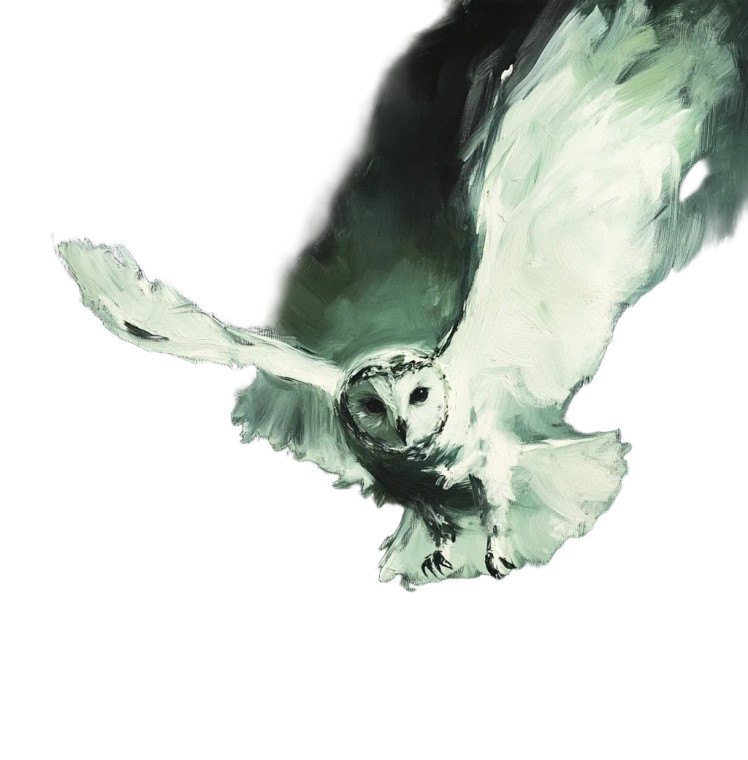 Owl In Flight V2 Vinyl Car Decal Sticker – Waterproof & UV-Resistant 8"