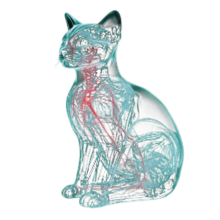 Robotic Cat X-Ray Vinyl Car Decal Sticker – Waterproof & UV-Resistant 8"