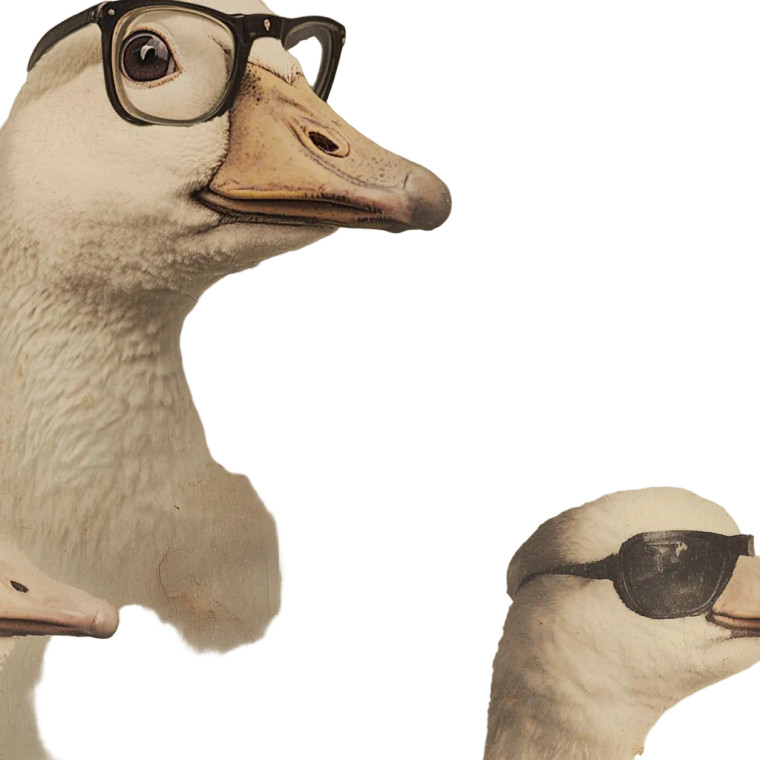 Goose In Glasses V2 Vinyl Car Decal Sticker – Waterproof & UV-Resistant 8"