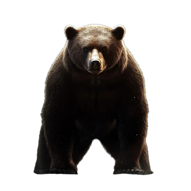 Standing Bear V2 Vinyl Car Decal Sticker – Waterproof & UV-Resistant 8"