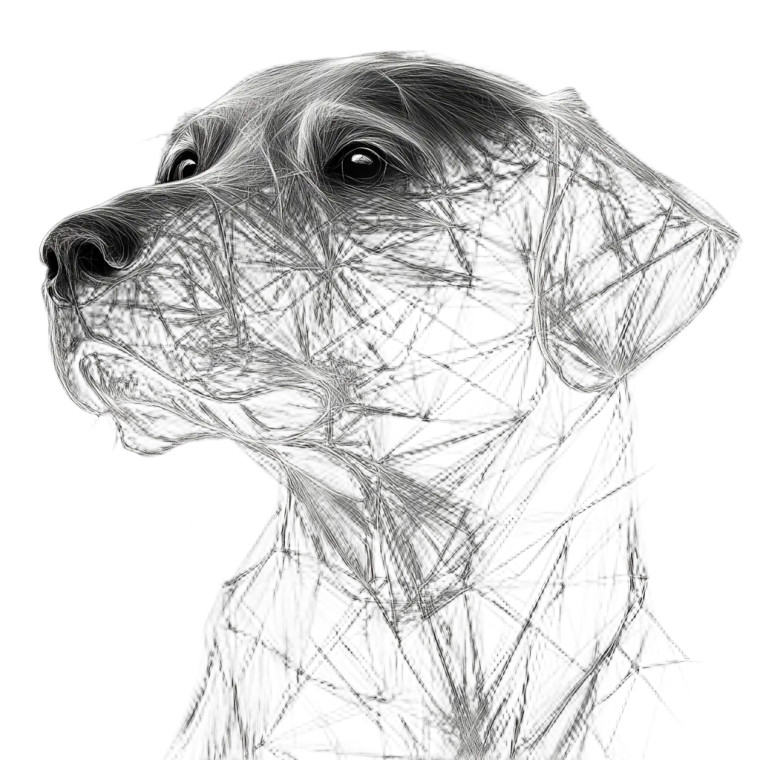 Abstract Labrador Drawing Vinyl Car Decal Sticker – Waterproof & UV-Resistant 8"