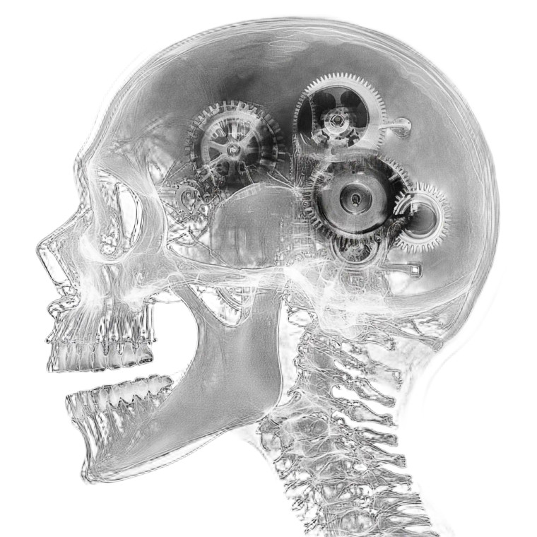Mechanical Skull X-Ray Vinyl Car Decal Sticker – Waterproof & UV-Resistant 8"