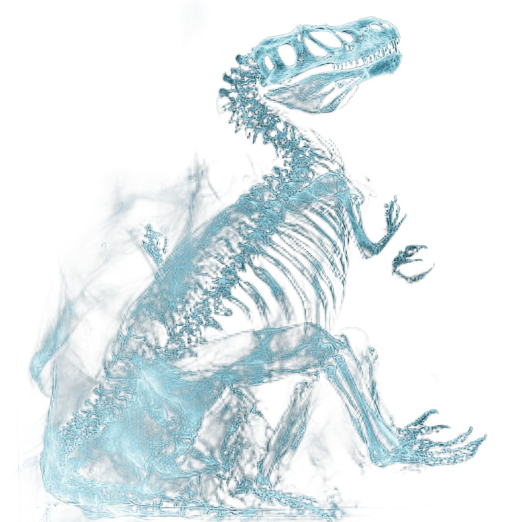 Dinosaur X-Ray Scanner Vinyl Car Decal Sticker – Waterproof & UV-Resistant 8"
