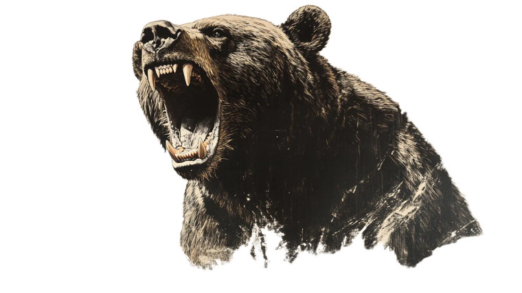 Vicious Snarling Bear Vinyl Car Decal Sticker – Waterproof & UV-Resistant 8"