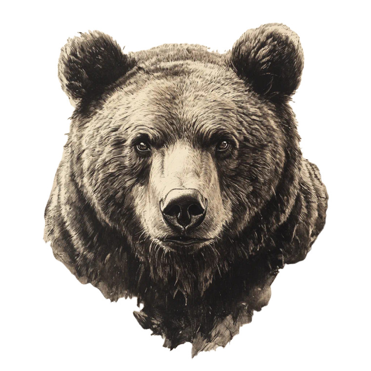 Grizzly Bear Sketch V2 Vinyl Car Decal Sticker – Waterproof & UV-Resistant 8"