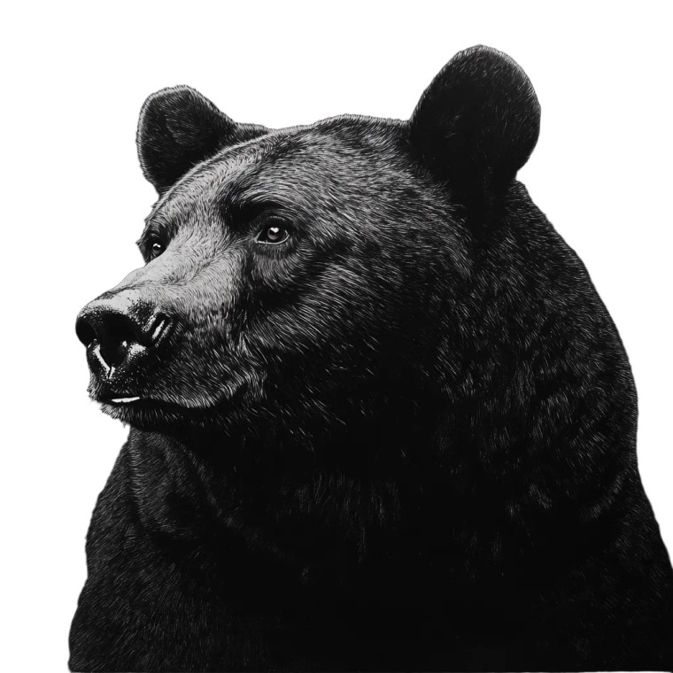 Hyper Realistic Bear V2 Vinyl Car Decal Sticker – Waterproof & UV-Resistant 8"