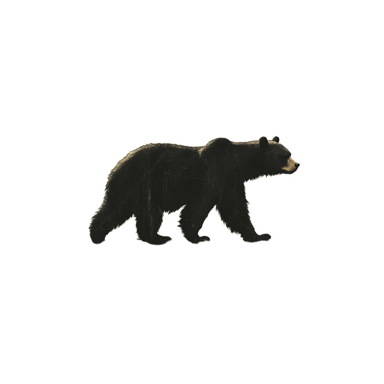 Bear Shadow Vinyl Car Decal Sticker – Waterproof & UV-Resistant 8"