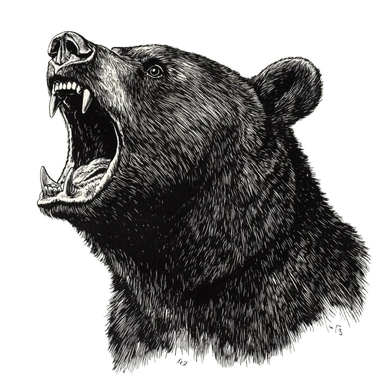 Vintage Growling Bear Vinyl Car Decal Sticker – Waterproof & UV-Resistant 8"