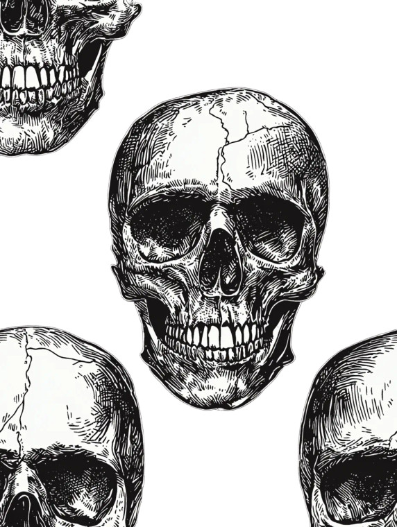 Human Skull Pattern Vinyl Car Decal Sticker – Waterproof & UV-Resistant 8"