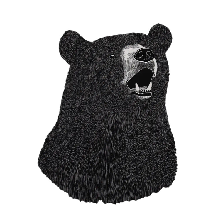 Minimalist Bear Tee Vinyl Car Decal Sticker – Waterproof & UV-Resistant 8"