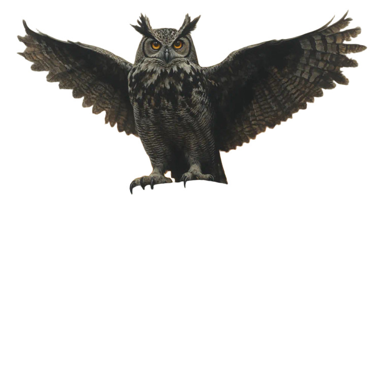 Gothic Owl Painting Vinyl Car Decal Sticker – Waterproof & UV-Resistant 8"