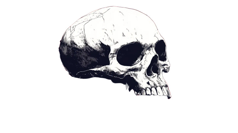 Dripping Skull Vinyl Car Decal Sticker – Waterproof & UV-Resistant 8"